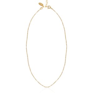 Glossy Thin Chain