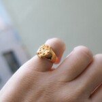 Kressida Signet Ring Multi Gold