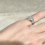 Delian Signet Ring - Silver