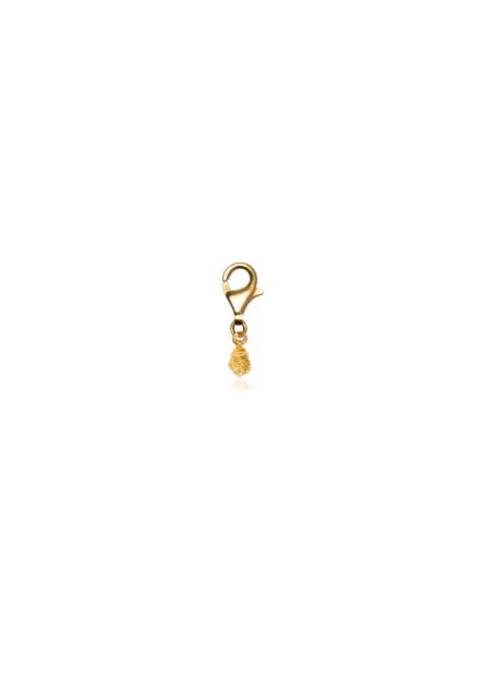 Nugget Clip On