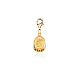 Ygieia Stardust Clip-On Charm