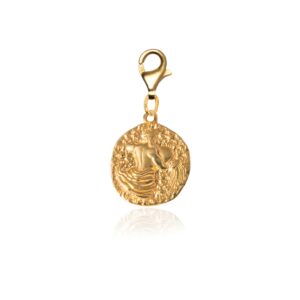 Zodiac Clip On Charm Aquarius