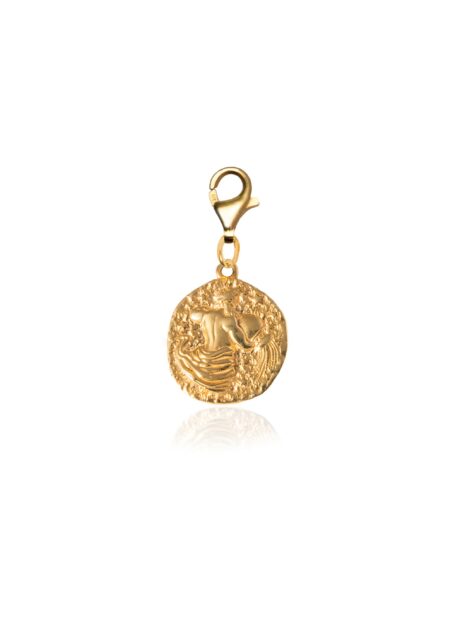 Zodiac Clip On Charm Aquarius