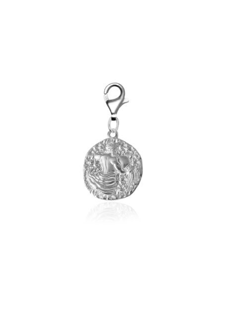 Zodiac Clip On Charm